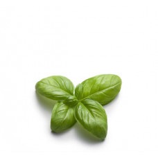 [7290101500766] בזיליקום